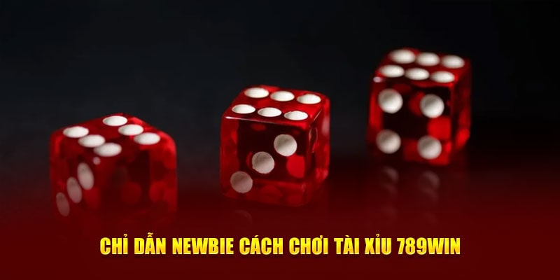 Cách chơi tài xỉu 789Win cho người mới