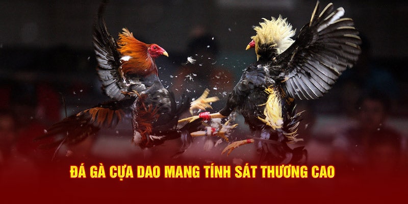 Đá gà cựa dao tại 789Win