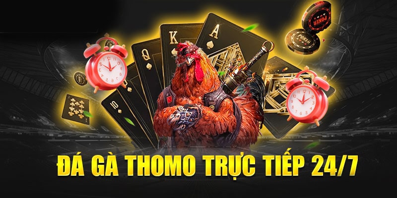 Chọn cửa đá gà thomo